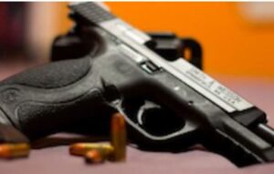 Aduanas confisca contrabando de armas de fuego en Puerto de Haina