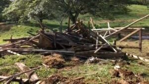 Desalojan grupo que invadió terreno privado en SFM