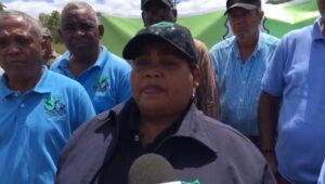 ANPA pide no tomen terrenos de su propiedad para construir matadero