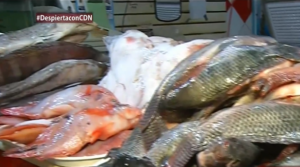 Precios de algunos productos de la canasta básica en Semana Santa 