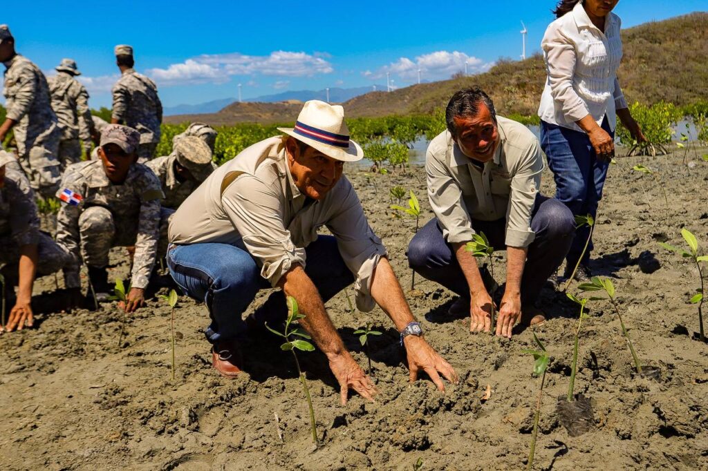 Jornada de reforestación en Nizao
