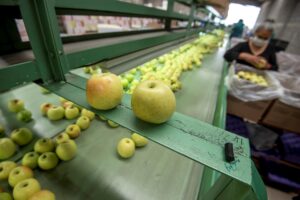 La FAO teme un empeoramiento de la crisis agroalimentaria en 2023