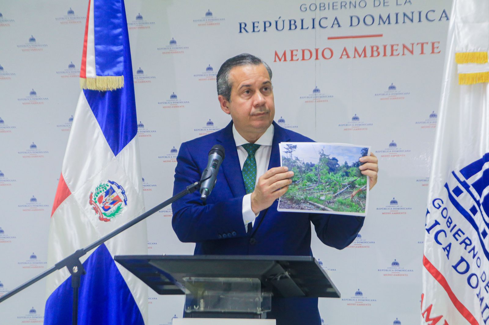 Medio Ambiente somete a la justicia a director distrital de Palmarejo por tala de árboles