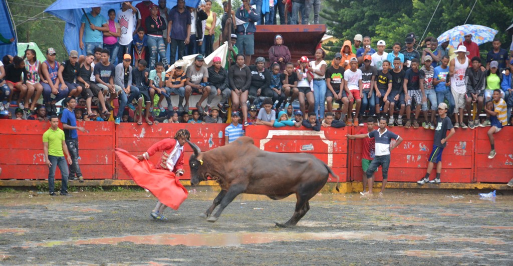 VIDEO: Lidias taurinas en El Seibo siguen dejando corneados