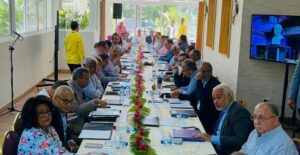 PLD niega discutiera posible apoyo a reforma constitucional