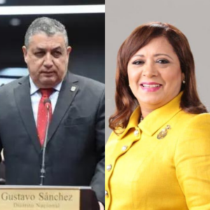 Vocero PLD dice no le sorprende renuncia de Sandra Abinader