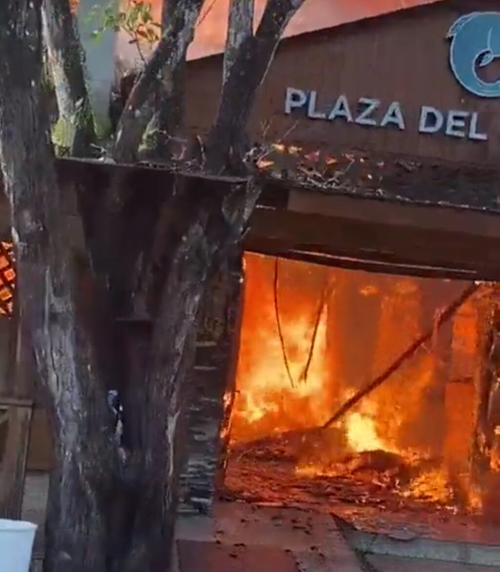 Se registra incendio en Plaza del Pescado Lumaka en Boca Chica