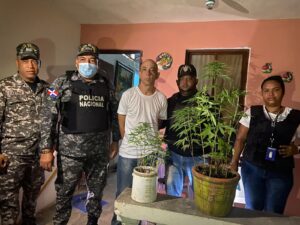 Arrestan a “El Cura” con plantación de marihuana en su residencia en Montecristi