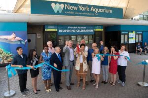 El Acuario de Nueva York reabre a plena capacidad por primera vez en una década
