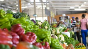 Alzas en productos y servicios obligan a familias a modificar sus formas de vida